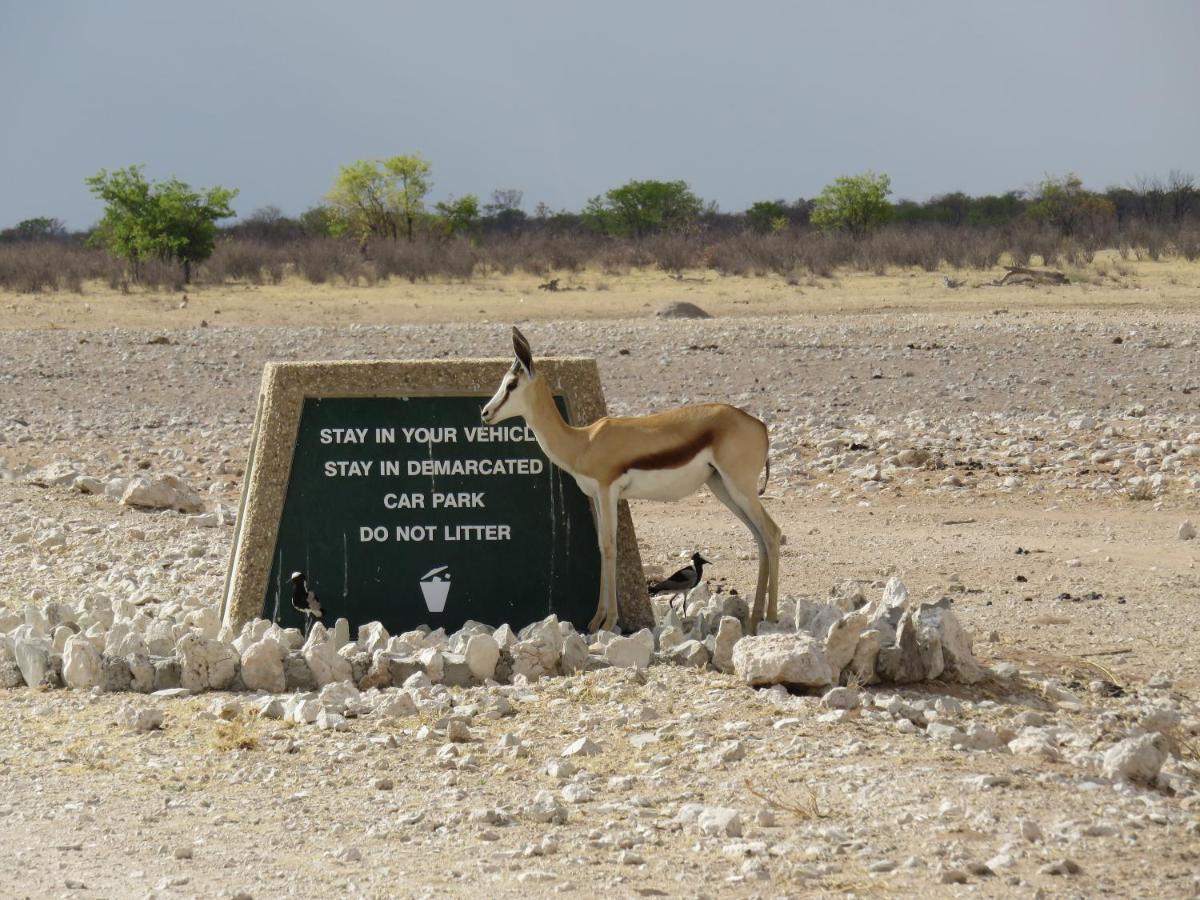 Etosha Safari Campsite Ngoại thất bức ảnh